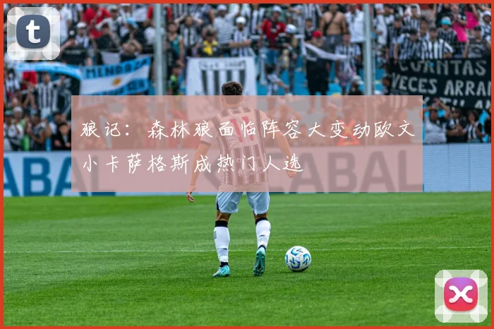 狼记：森林狼面临阵容大变动欧文小卡萨格斯成热门人选
